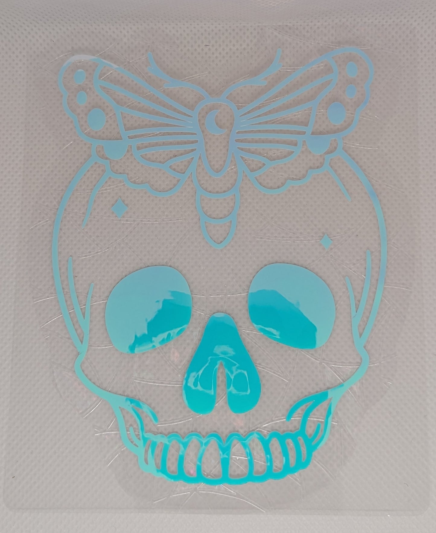 Skull and Moth